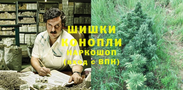 шишки Сафоново