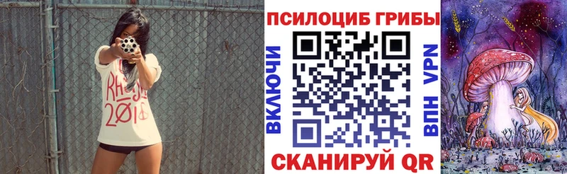 Галлюциногенные грибы Psilocybe  Алейск 