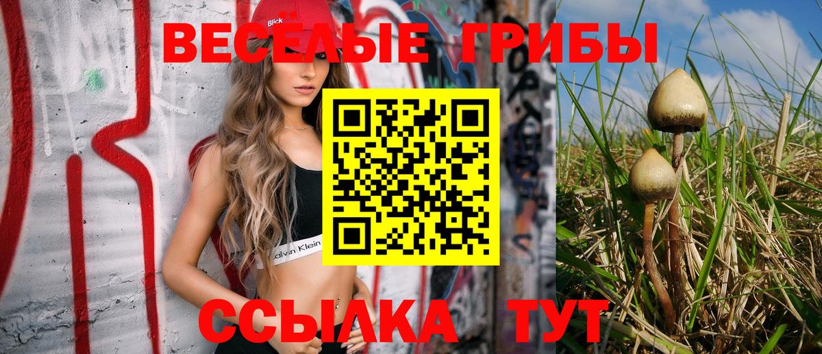 Галлюциногенные грибы мицелий Алейск