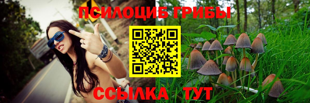 Алейск  Галлюциногенные грибы мицелий  Вход с VPN 