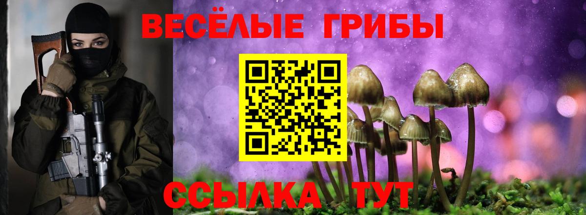 Гашиш Алейск